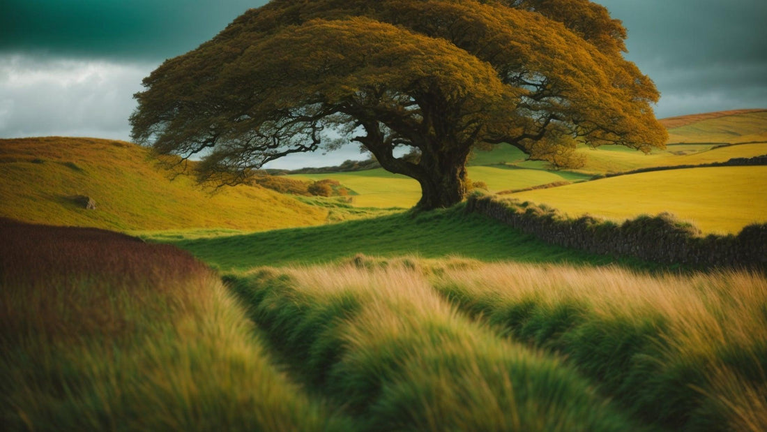 A Deep Dive into the History of the Irish Surname Byrne - Celtic Ancestry Gifts