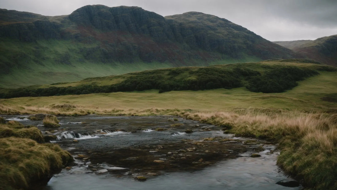 The Rich Tapestry of the Stevenson Surname: Tracing Scottish Roots Through History