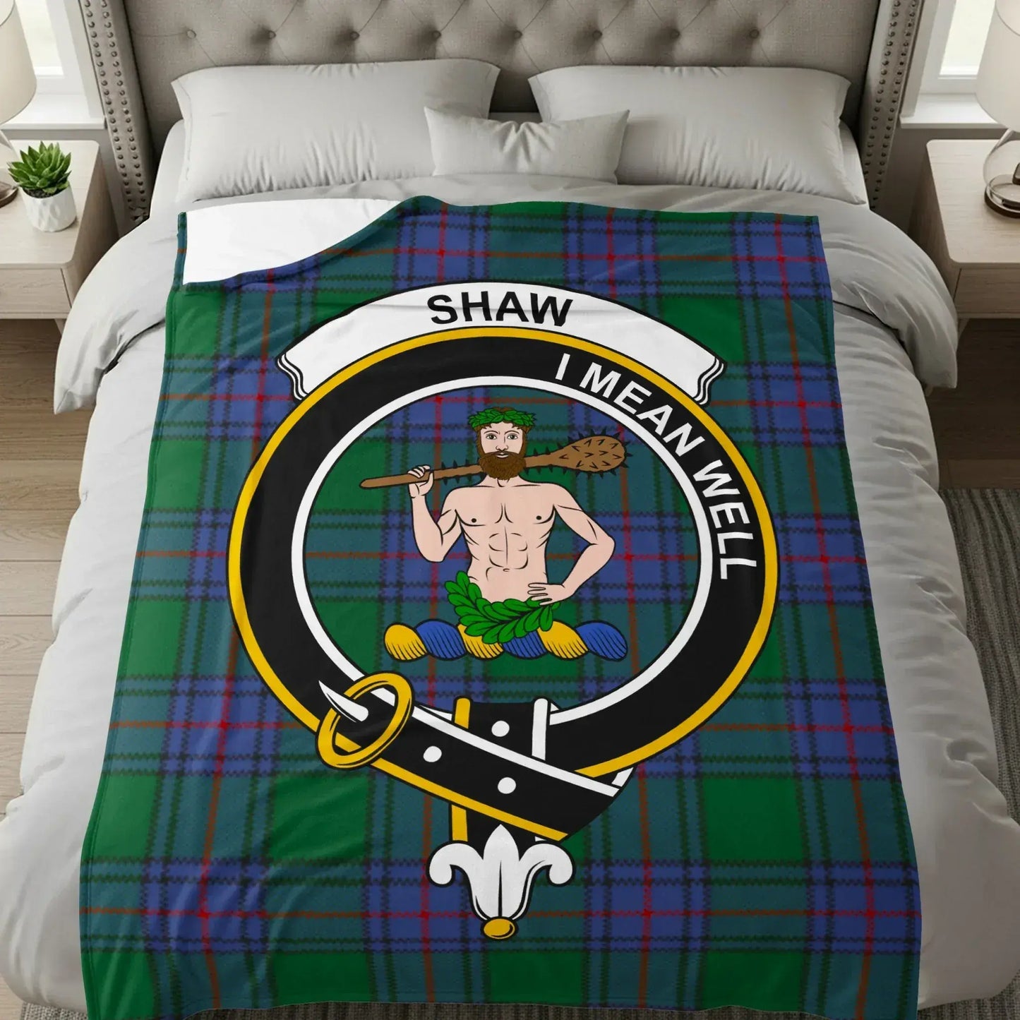 Shaw I Mean Well Plaid Design Blanket product