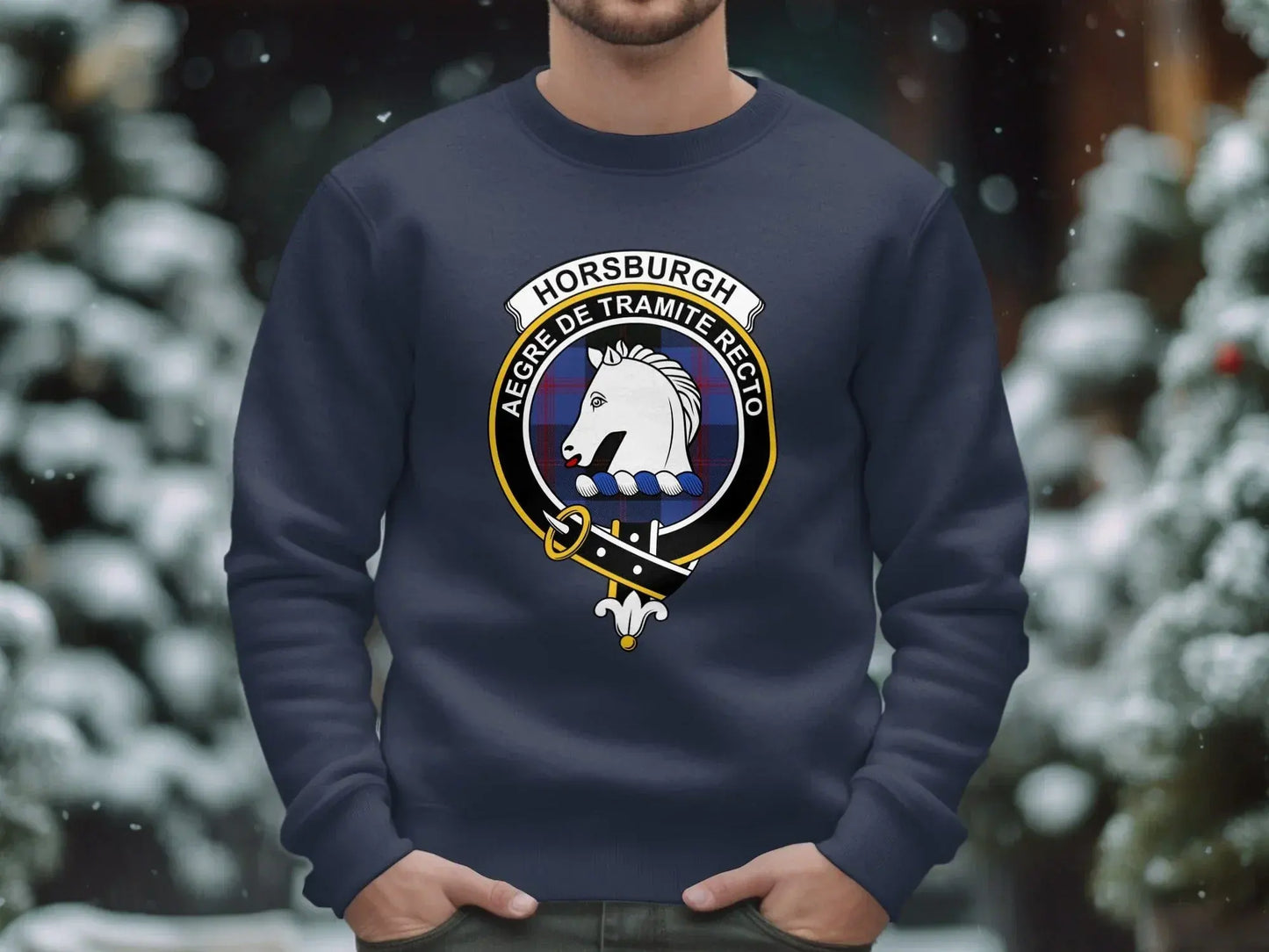 Horsburgh Aegre De Tramite Recto Sweatshirt product type