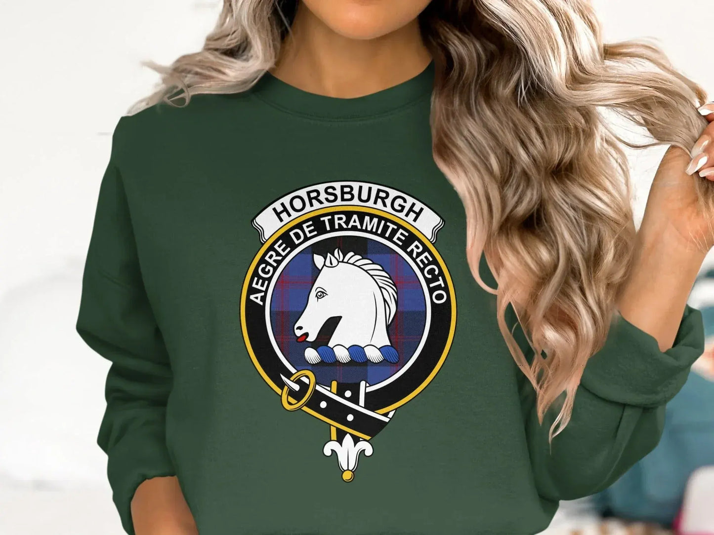 Horsburgh Aegre De Tramite Recto Sweatshirt product type