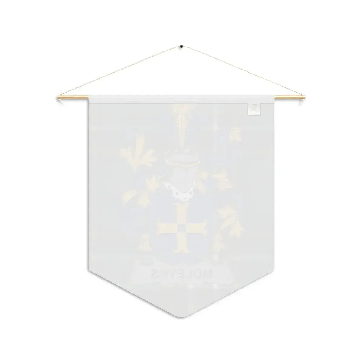 Custom Coat of Arms Family Name Wall Banner product type