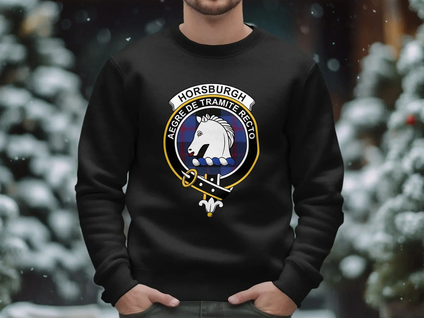 Horsburgh Aegre de Tramite Recto design sweatshirt product