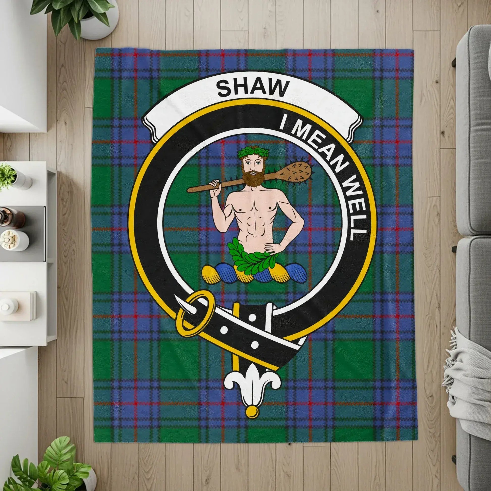 Shaw I Mean Well Tartan Pattern Decorative product