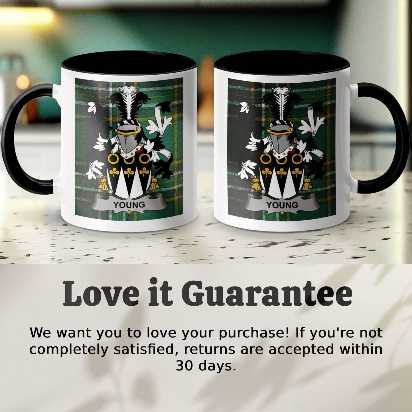 Young Surname Family Crest Irish Tartan Mug - Celtic Ancestry Gifts
