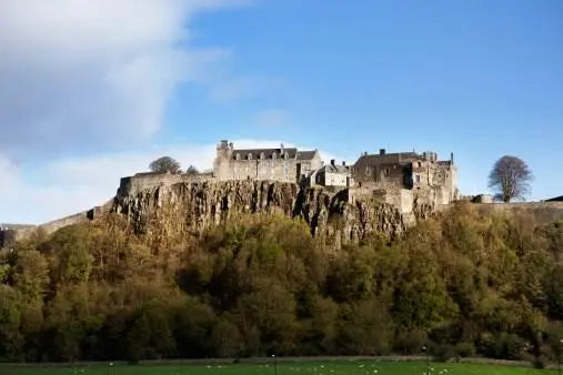 Historic stone castle atop cliff surrounded by trees under blue sky