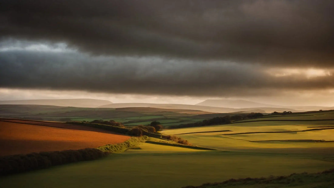 Clan Allardice: Kincardineshire Origins and the Unwavering Motto of Steadfast Defense