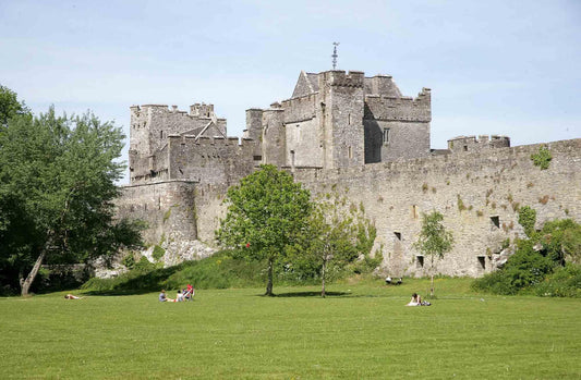 Historic stone castle with battlements behind trees and people relaxing on green lawn under clear sky