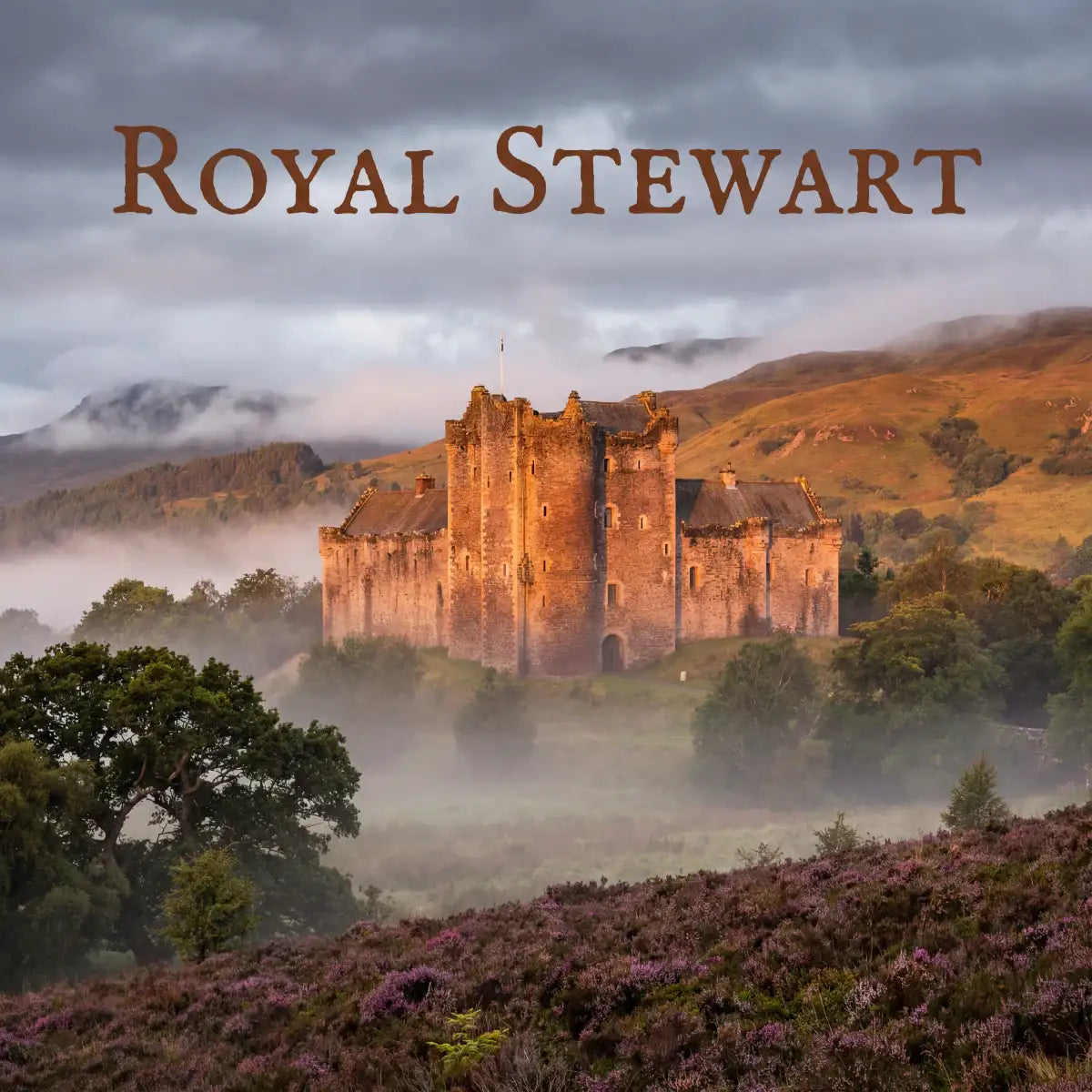 Clan Stewart tartan and royal crest — celebrating the history, motto, and origins of the High Stewards of Scotland, founders of the royal Stewart dynasty.