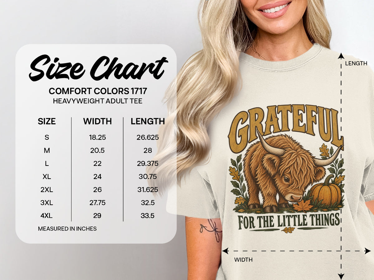 Comfort Colors 1717 size chart, S–4XL, for the Grateful for the Little Things Highland cow T-shirt