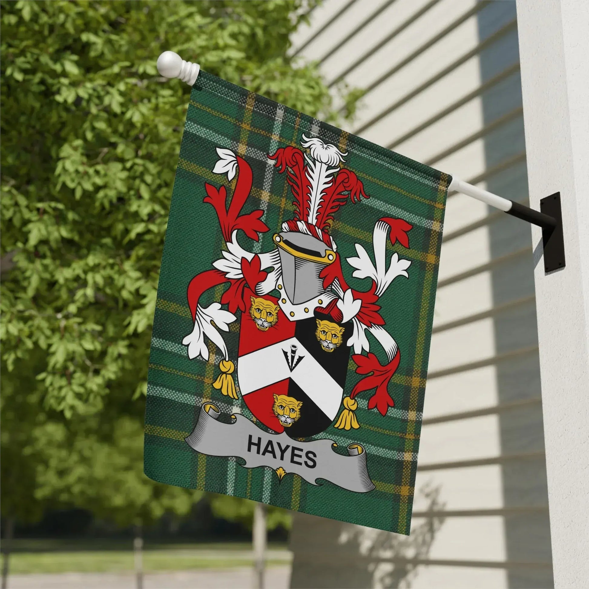 Hayes Family Crest Plaque with Heraldic Artwork product