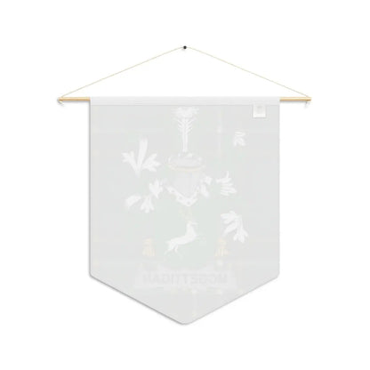 Vintage McGettigan Family Crest Wall Banner product type
