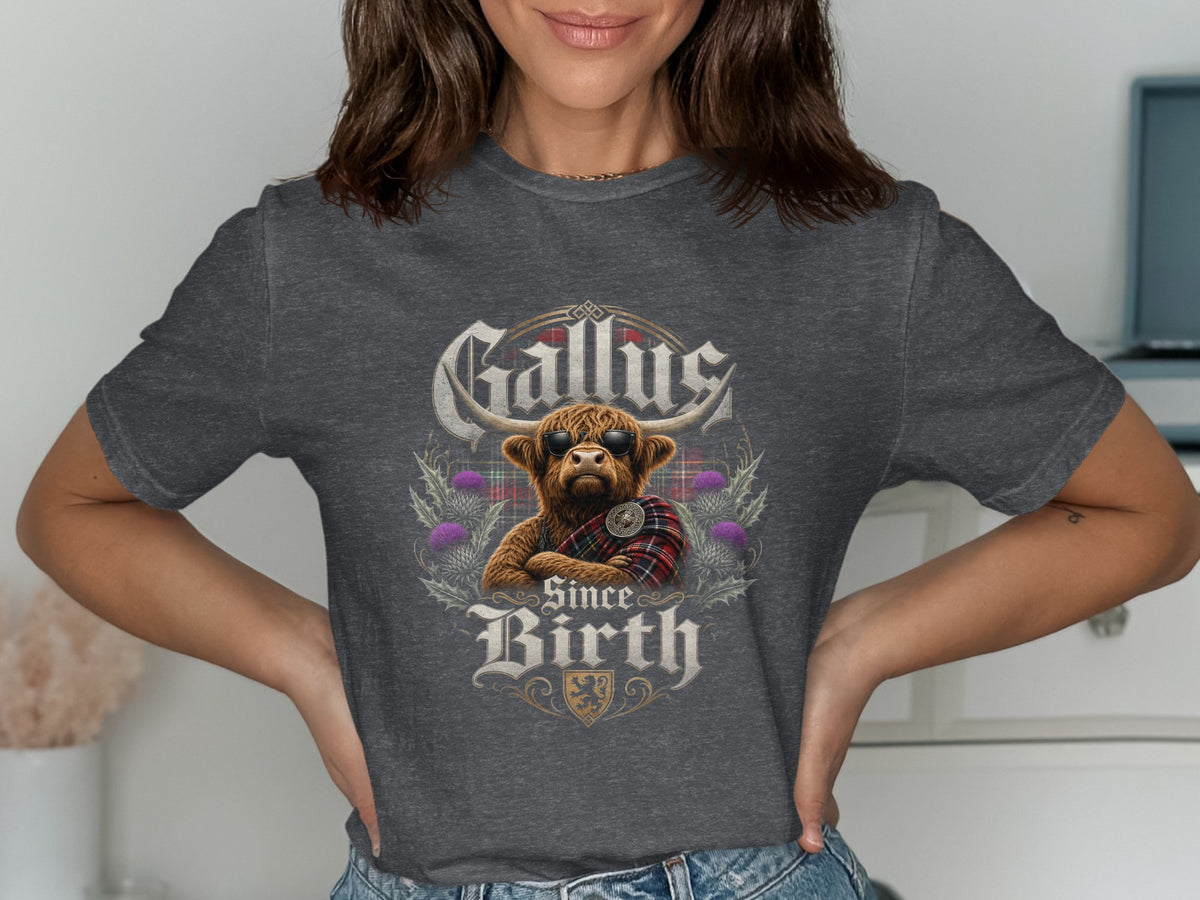 Highland cow with sunglasses wearing tartan, text "Gallus Since Birth".