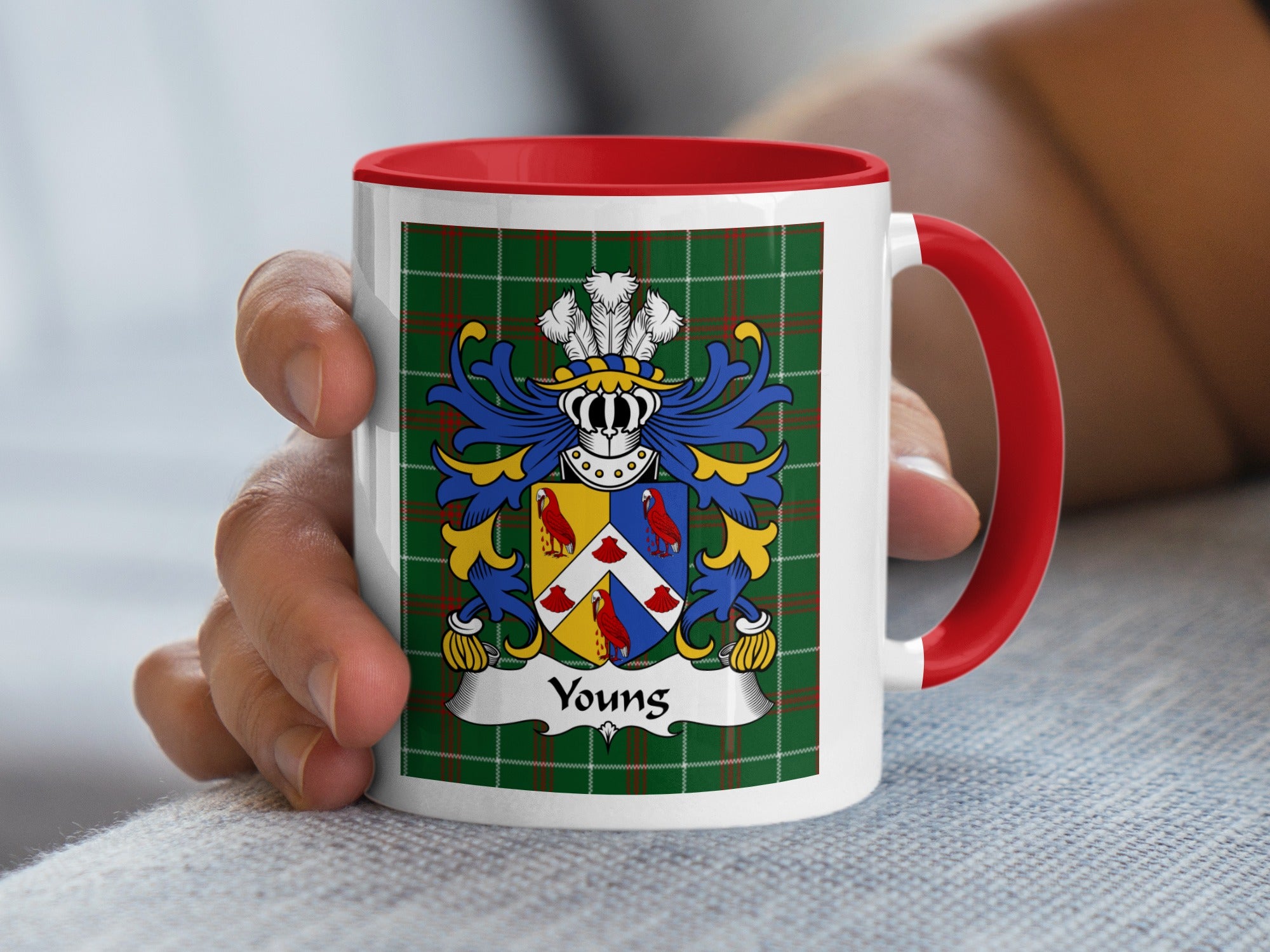 Youngs Welsh family crest mug on Welsh National Tartan