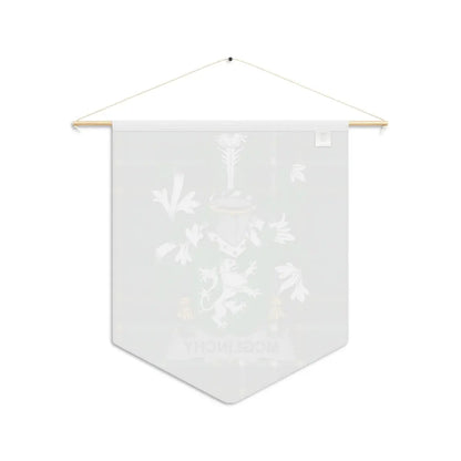 McGlinchy Family Crest Hanging Wall Banner product