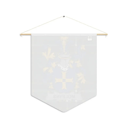 Custom Coat of Arms Family Name Wall Banner product type