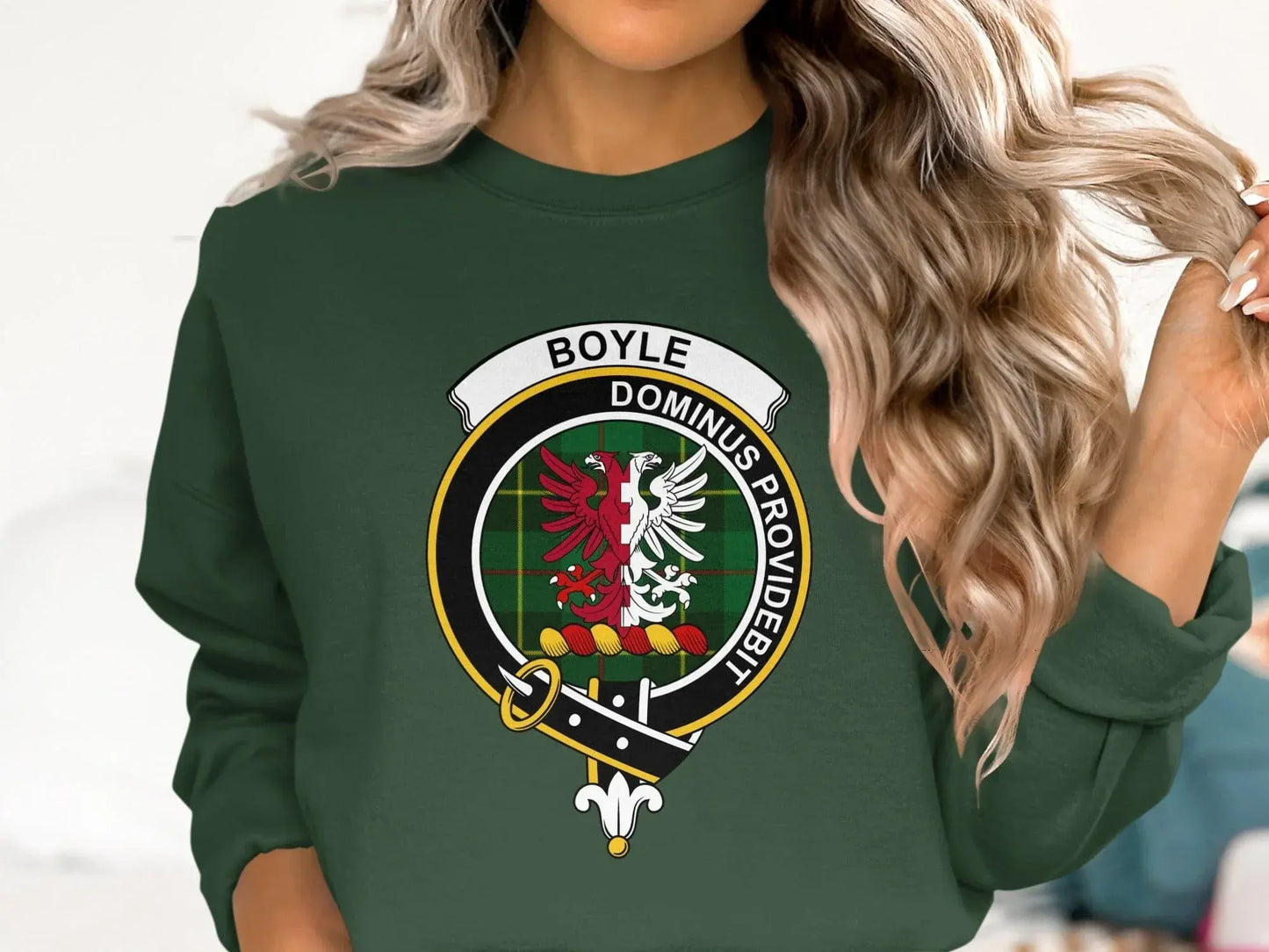 Boyle Dominus Providebit Family Sweatshirt product