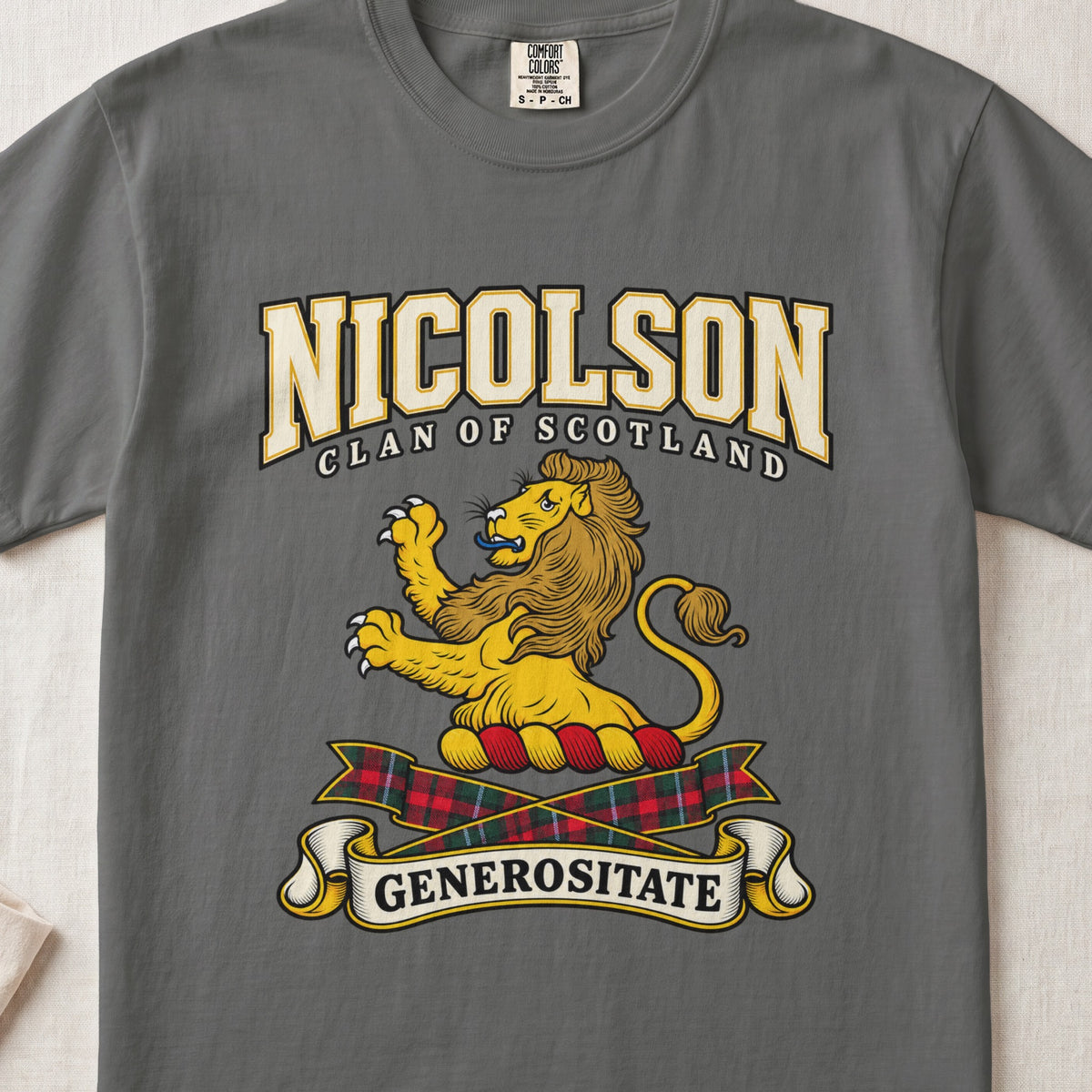 Nicolson Scottish clan graphic T-shirt in Pepper, front view