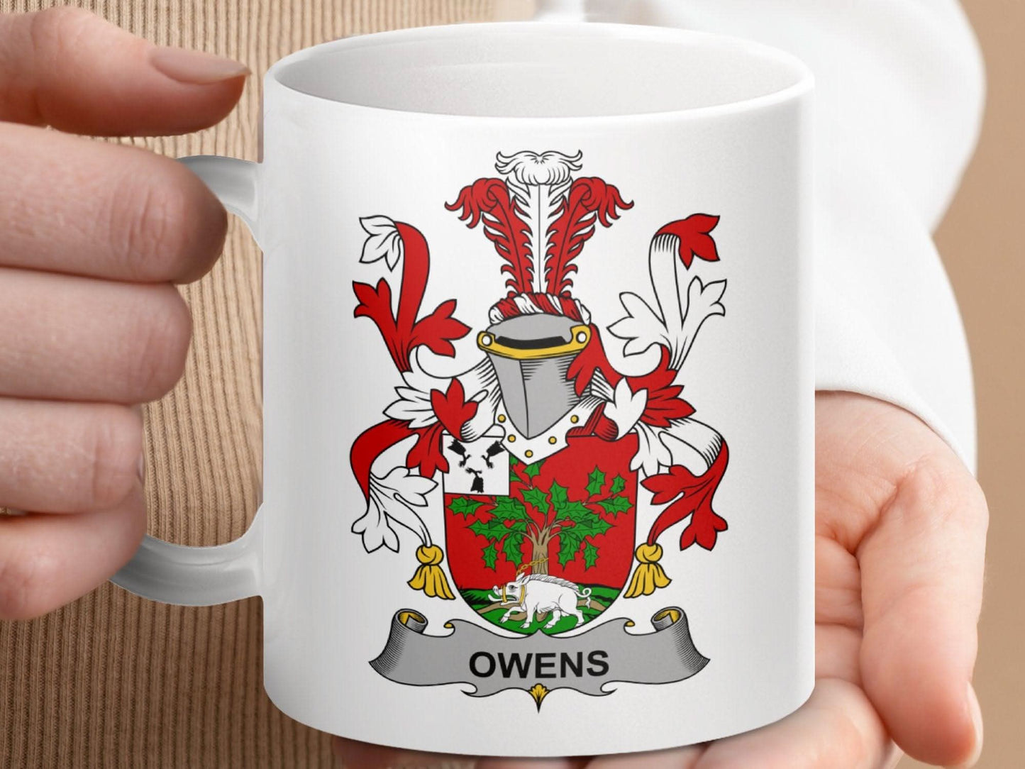 Owens Family Crest Shield Design Accent Mug - Celtic Ancestry Gifts
