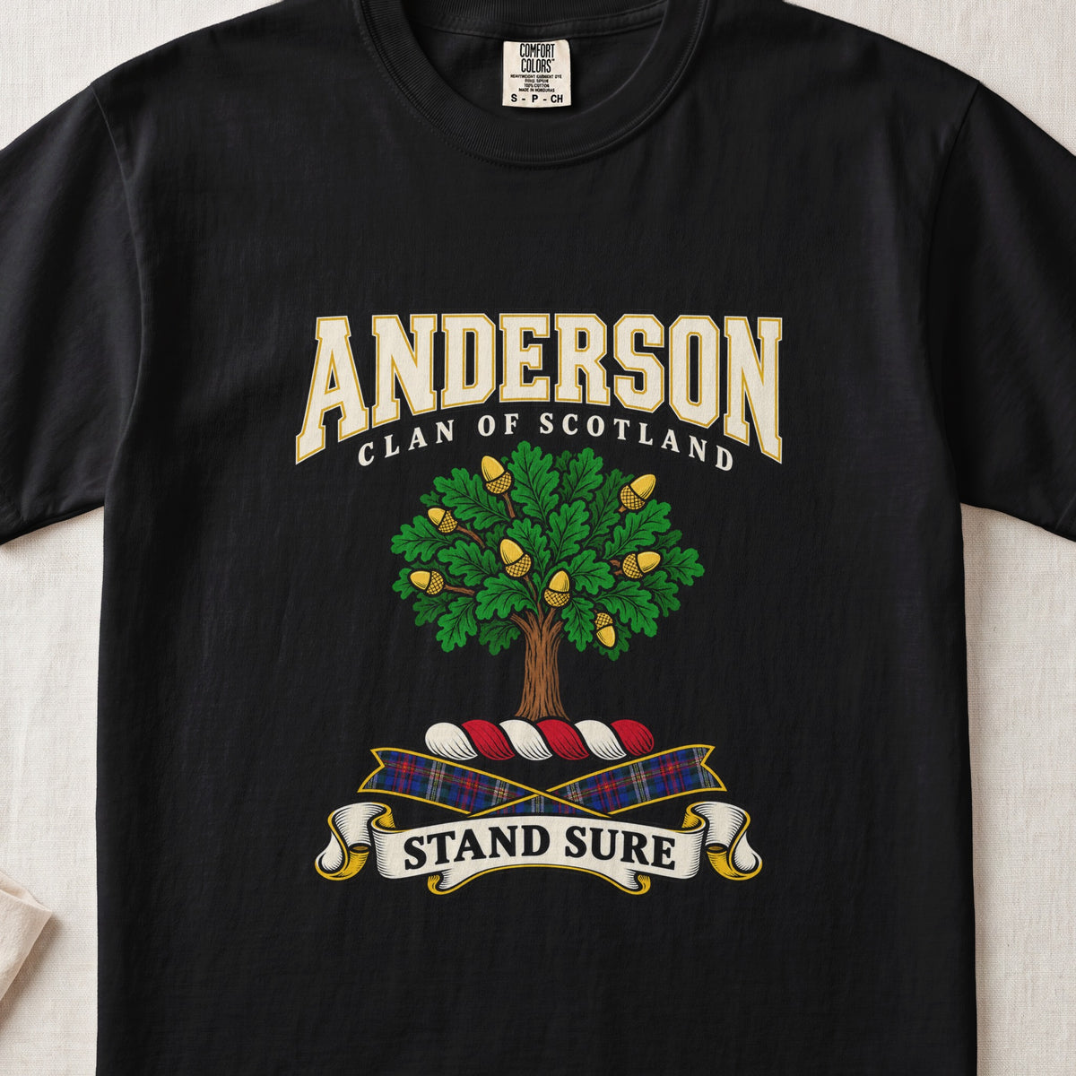 Anderson Scottish clan graphic T-shirt in Black, front view