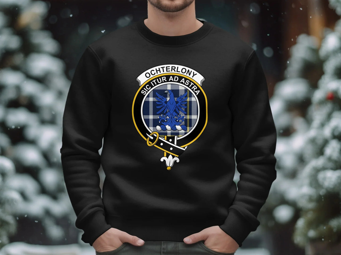 Ochterlony Sicitur Ad Astra pullover product