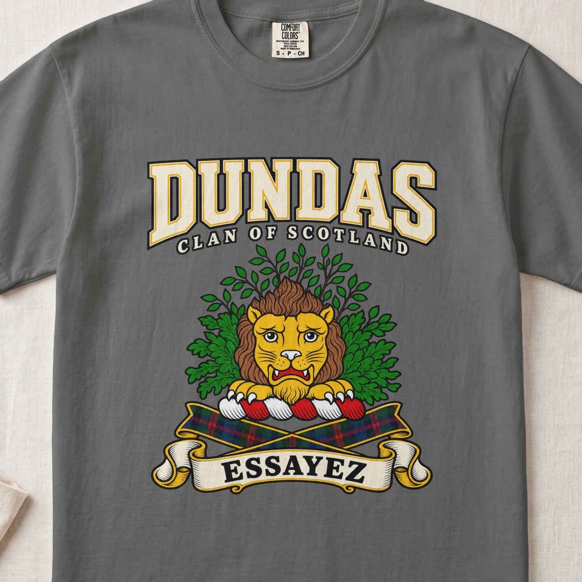 Dundas Scottish clan graphic T-shirt in Pepper, front view