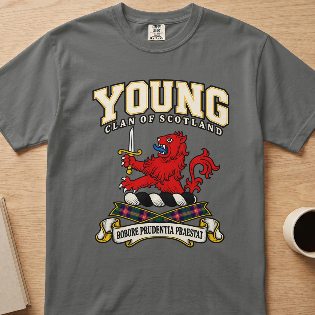 Young red lion with raised sword graphic on a charcoal gray Comfort Colors T-shirt, front view