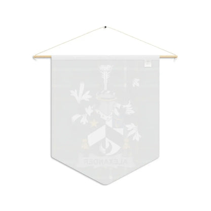 Alexander Coat Of Arms Irish Tartan Pennant