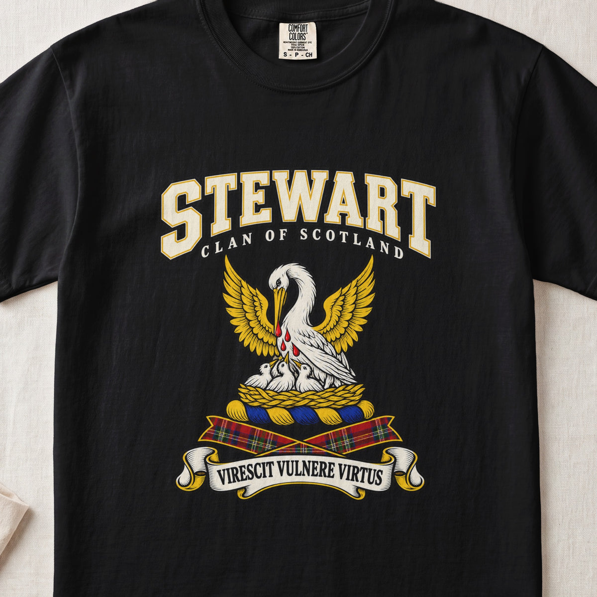 Stewart High Stewards Scottish clan graphic T-shirt in Black, front view