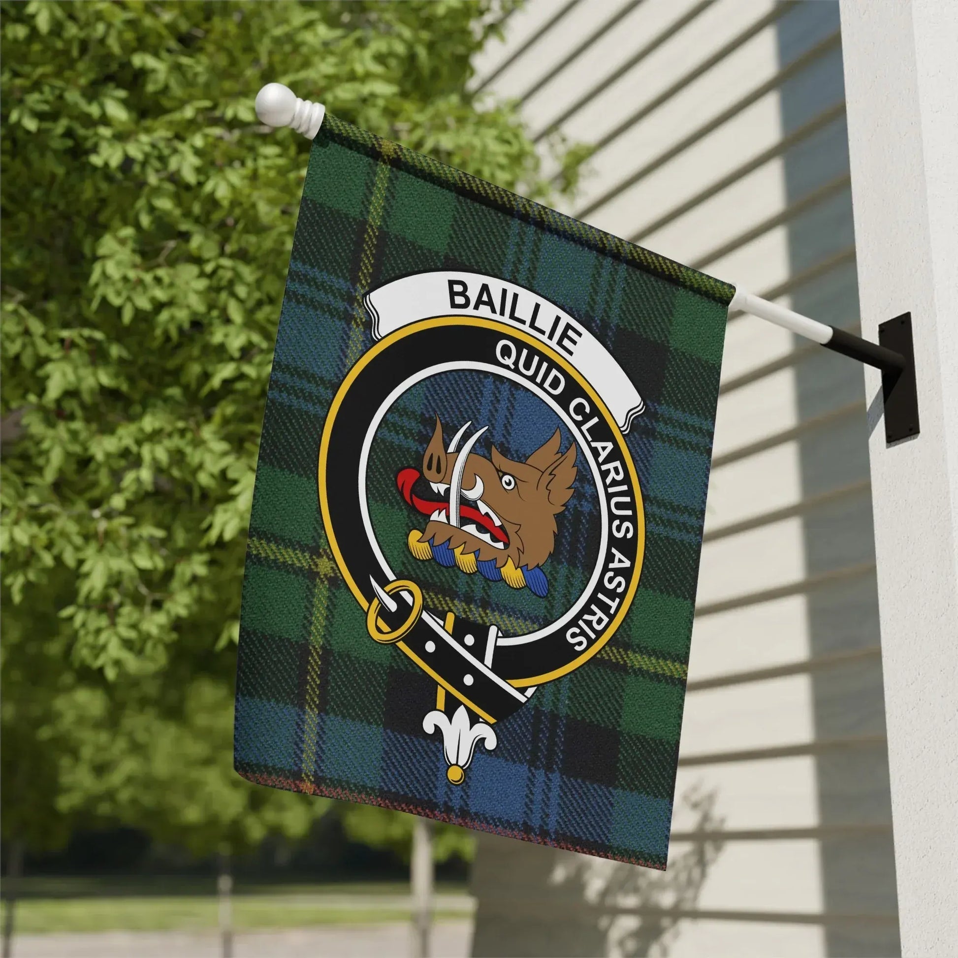Baillie Quid Clarius Astris Outdoor Flag product