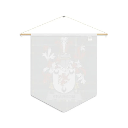 McGrane Family Crest and Shield Wall Hanging product type
