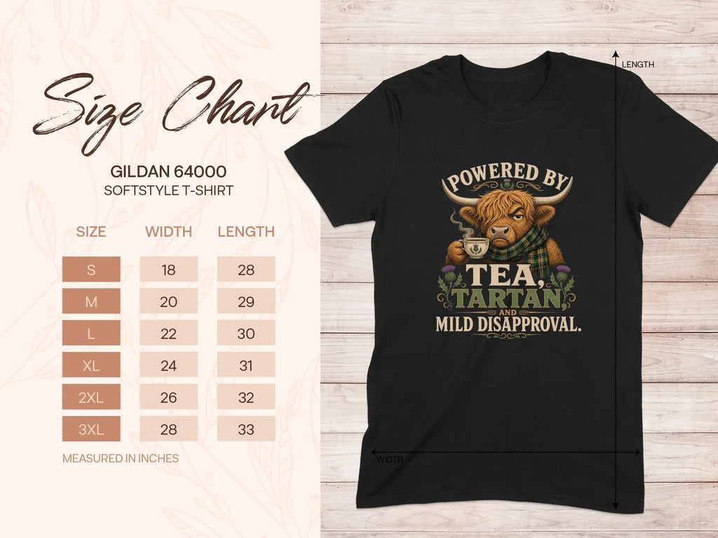 Size chart for Gildan 64000 softstyle t-shirt with graphic.