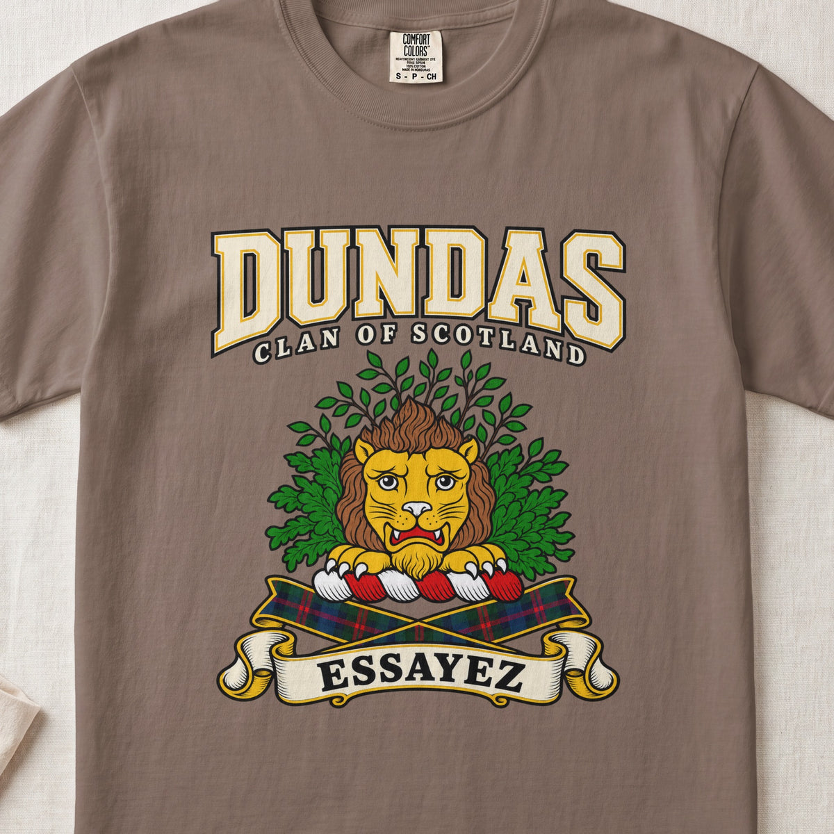 Dundas Scottish clan graphic T-shirt in Espresso, front view