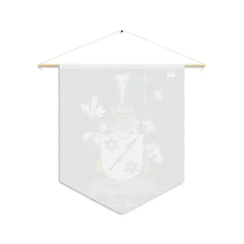 Auchmuty Irish family crest wall pennant — crest and tartan detail