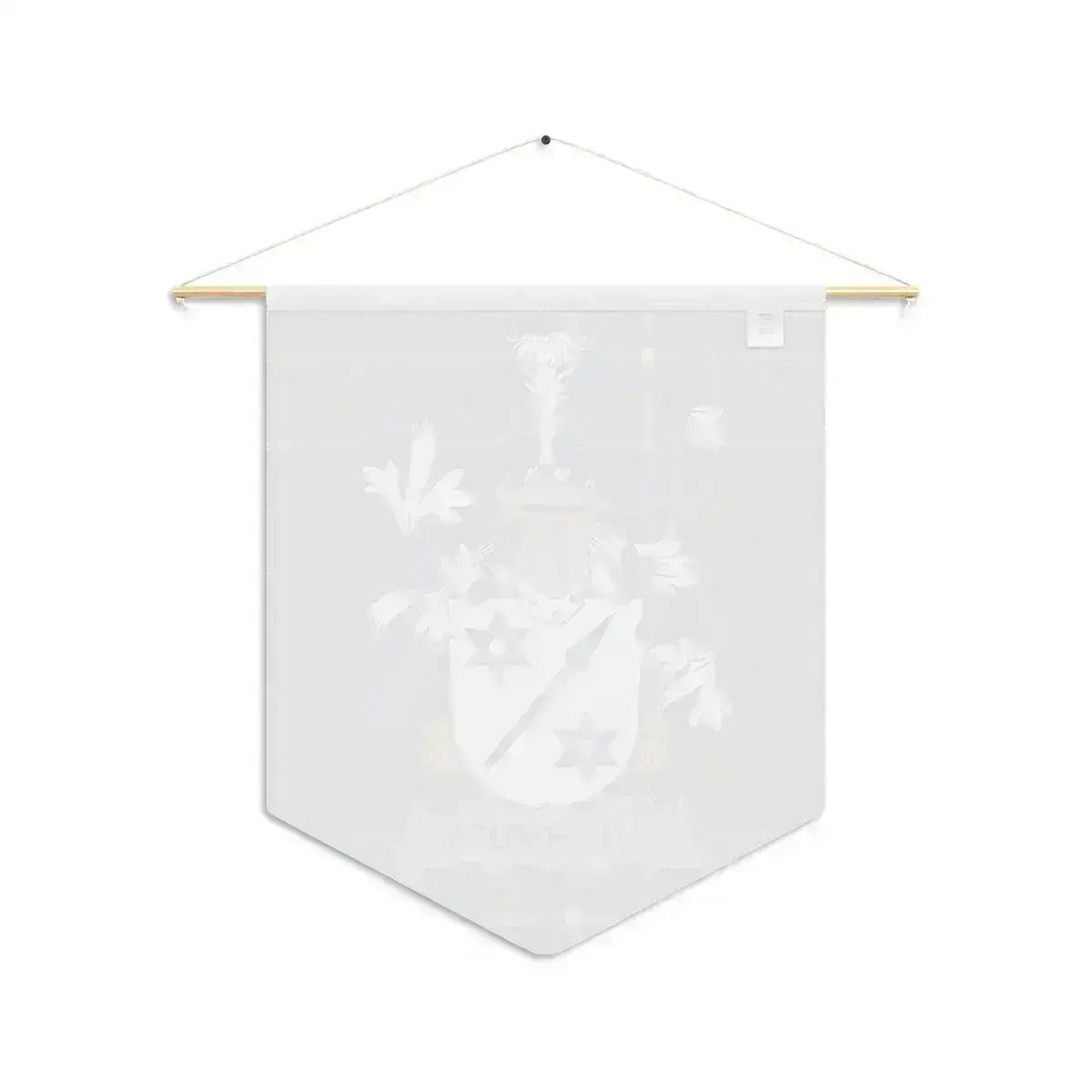 Auchmuty Irish family crest wall pennant — crest and tartan detail