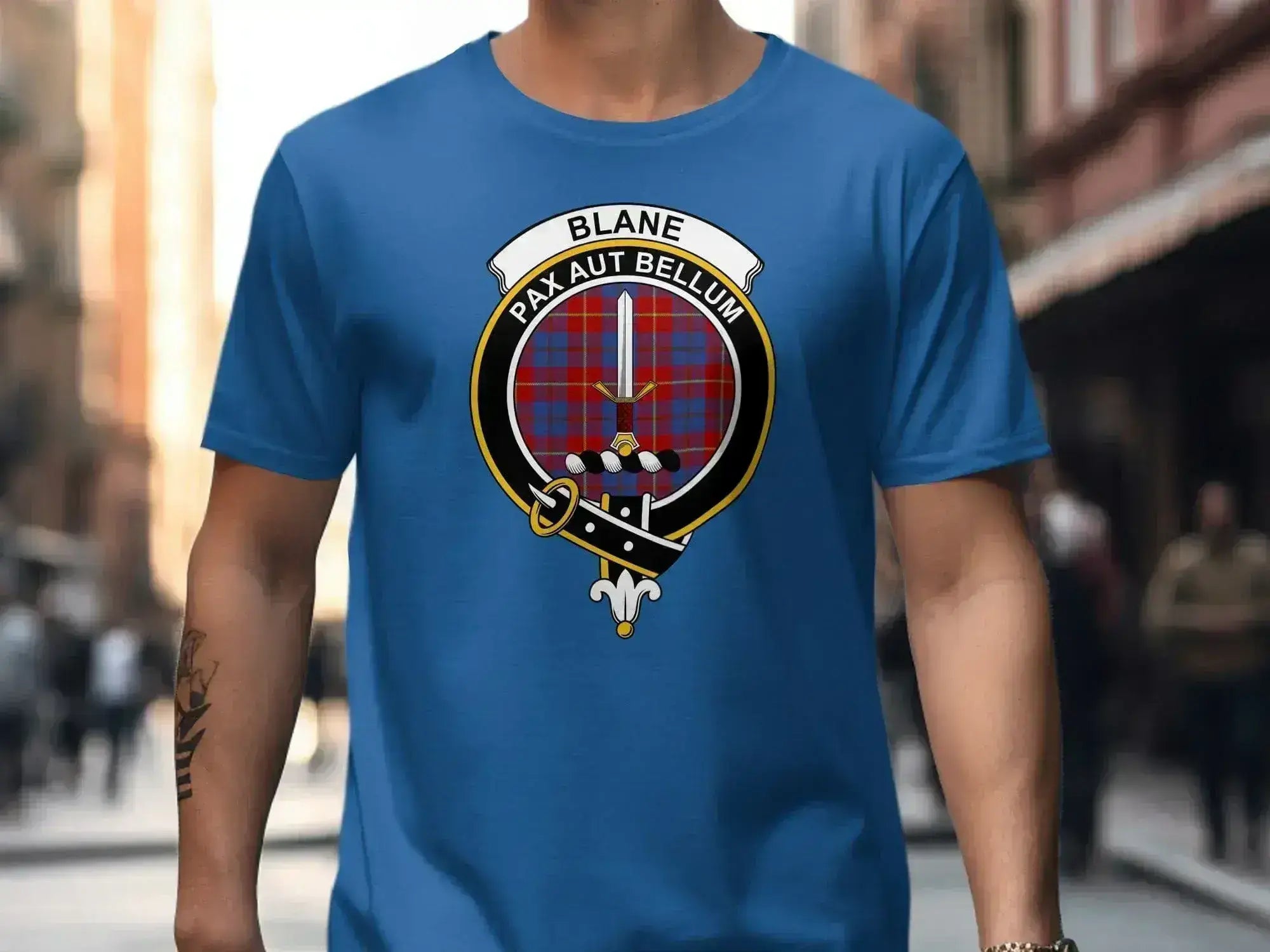 Blane Pax Aut Bellum Graphic T-Shirt product type