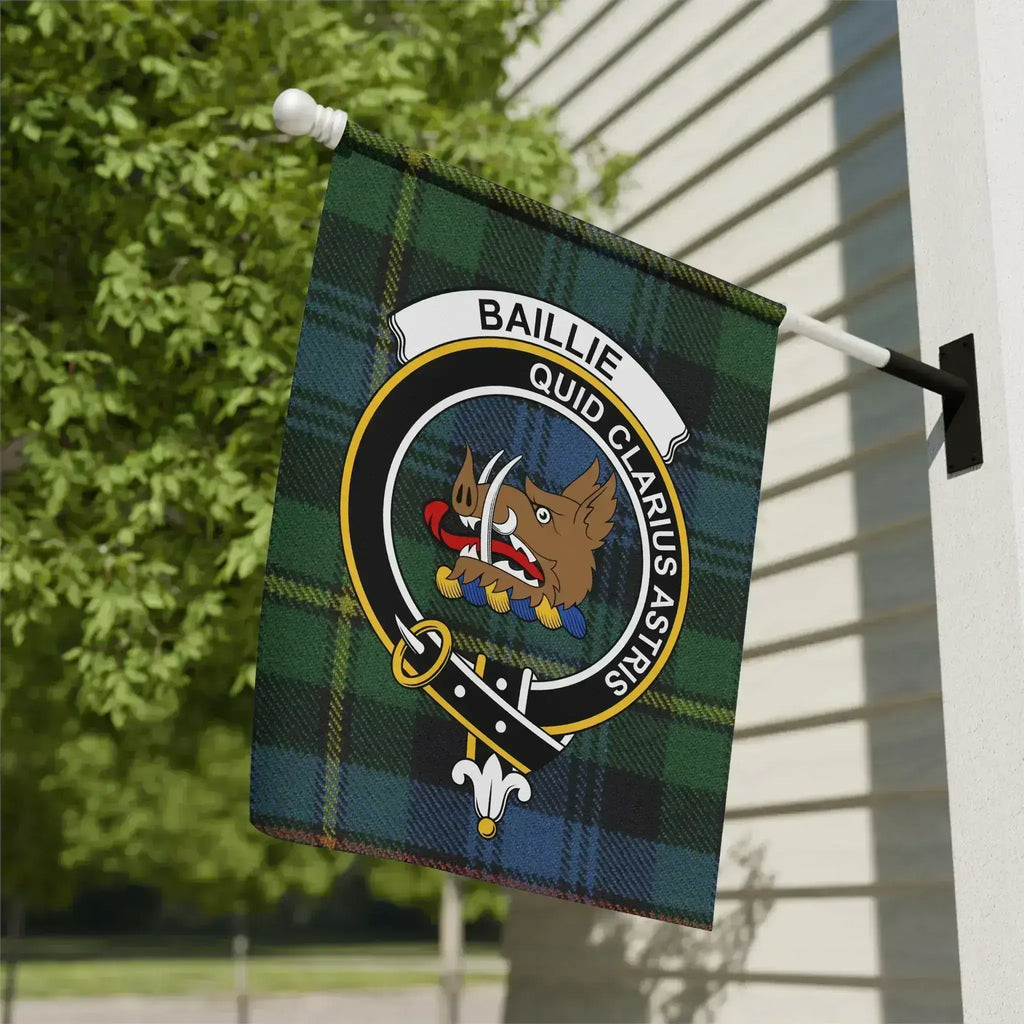 Baillie Quid Clarius Astris Outdoor Flag product