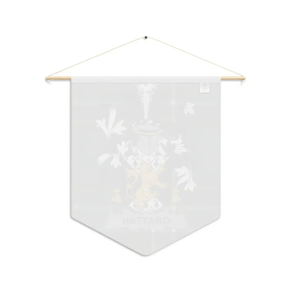 Grattan Irish family crest wall pennant — crest and tartan detail