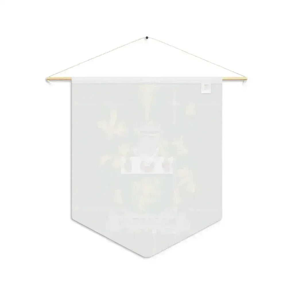 McCartan Irish family crest wall pennant — crest and tartan detail