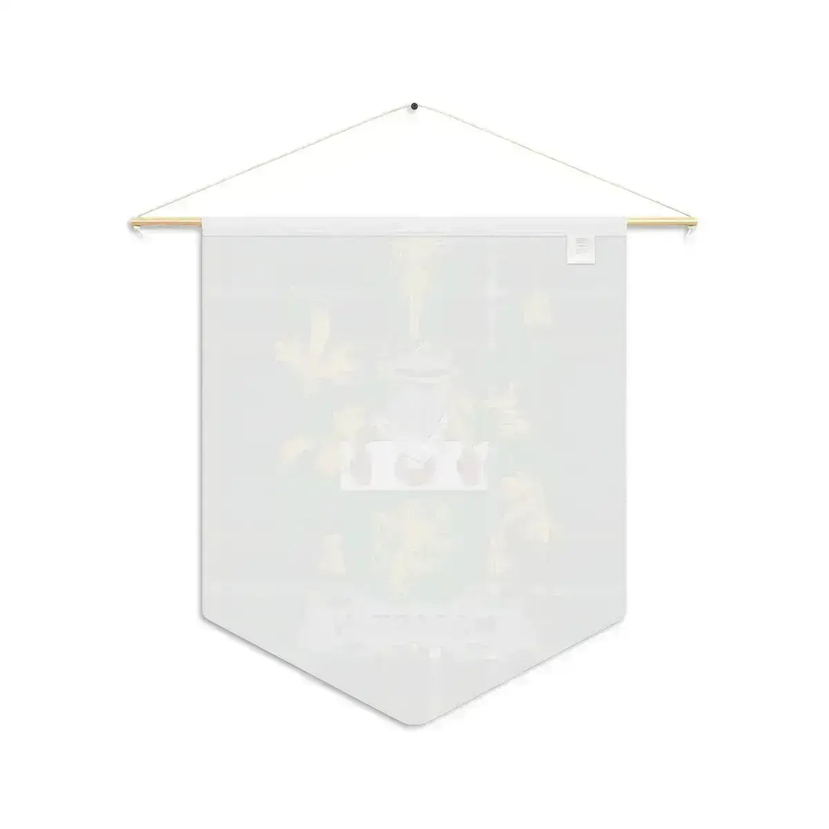 McCartan Irish family crest wall pennant — crest and tartan detail