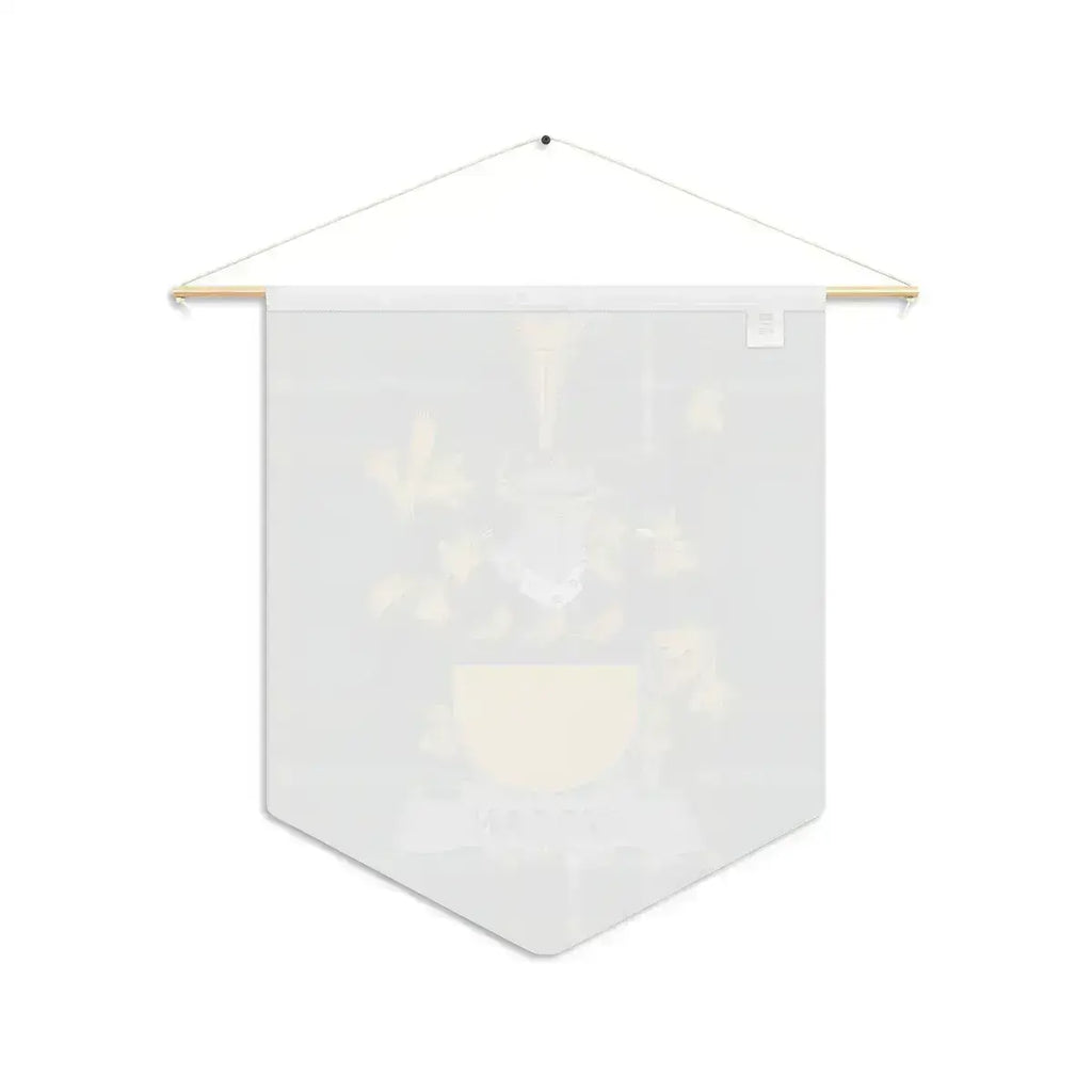Wogan Irish family crest wall pennant — crest and tartan detail