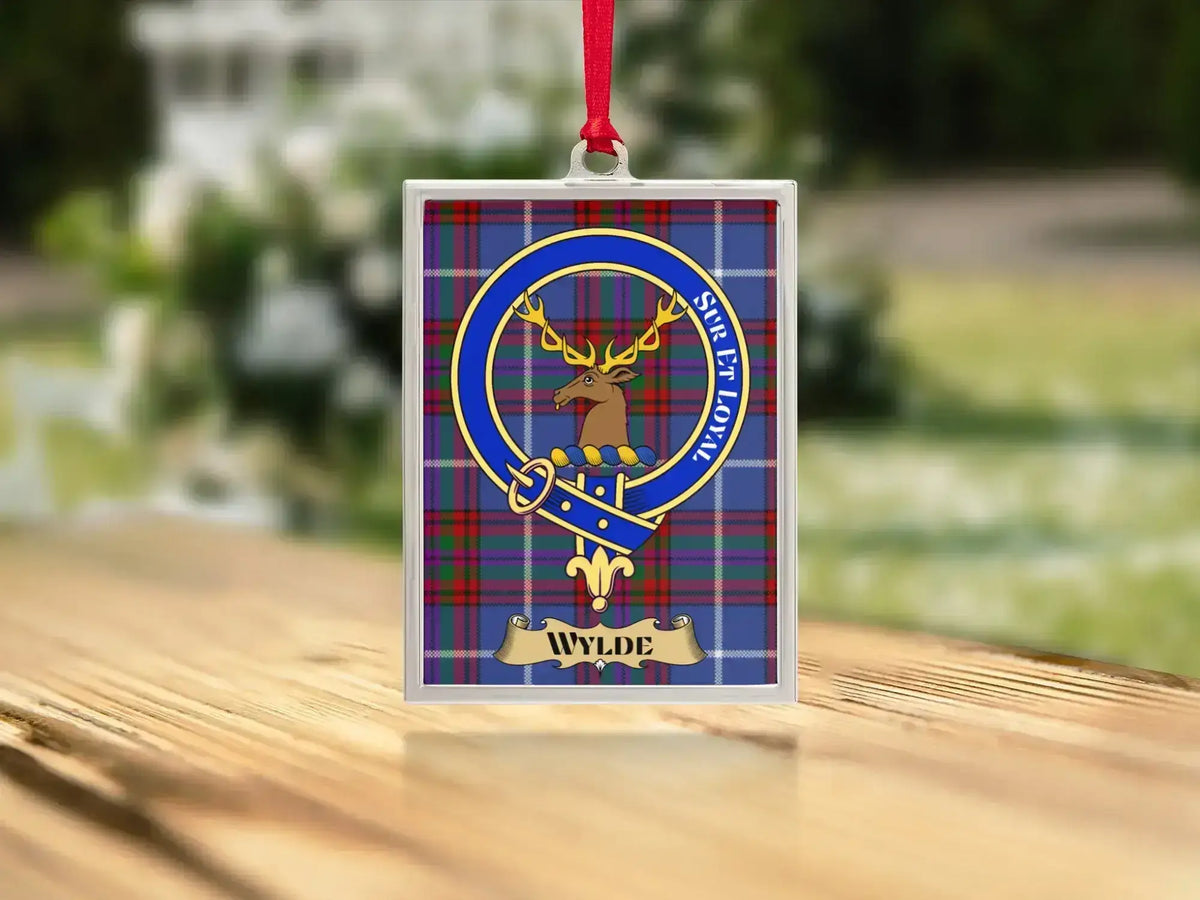Close-up of the Wylde family crest on a polished silver-frame metal ornament