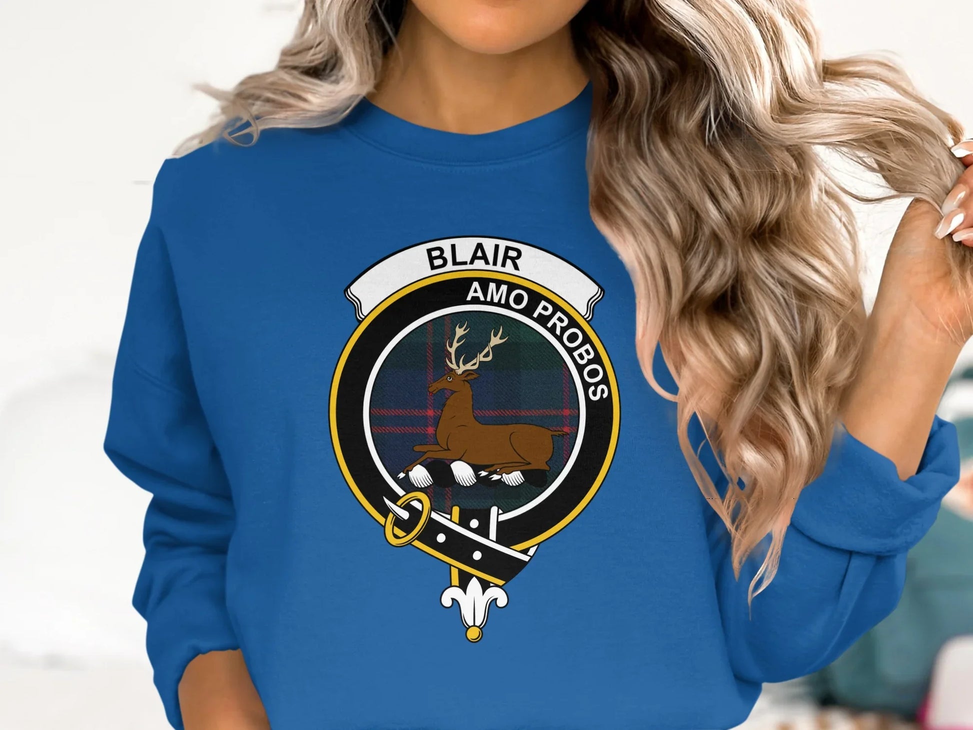 Blair Amo Probos Blue Graphic Long Sleeve Product