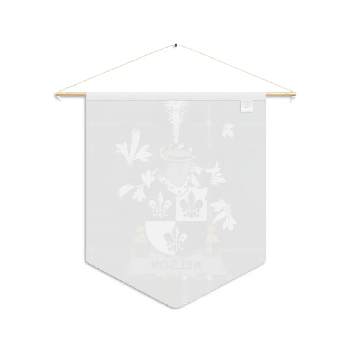Personalized Nelson Family Coat of Arms Wall Decor Product