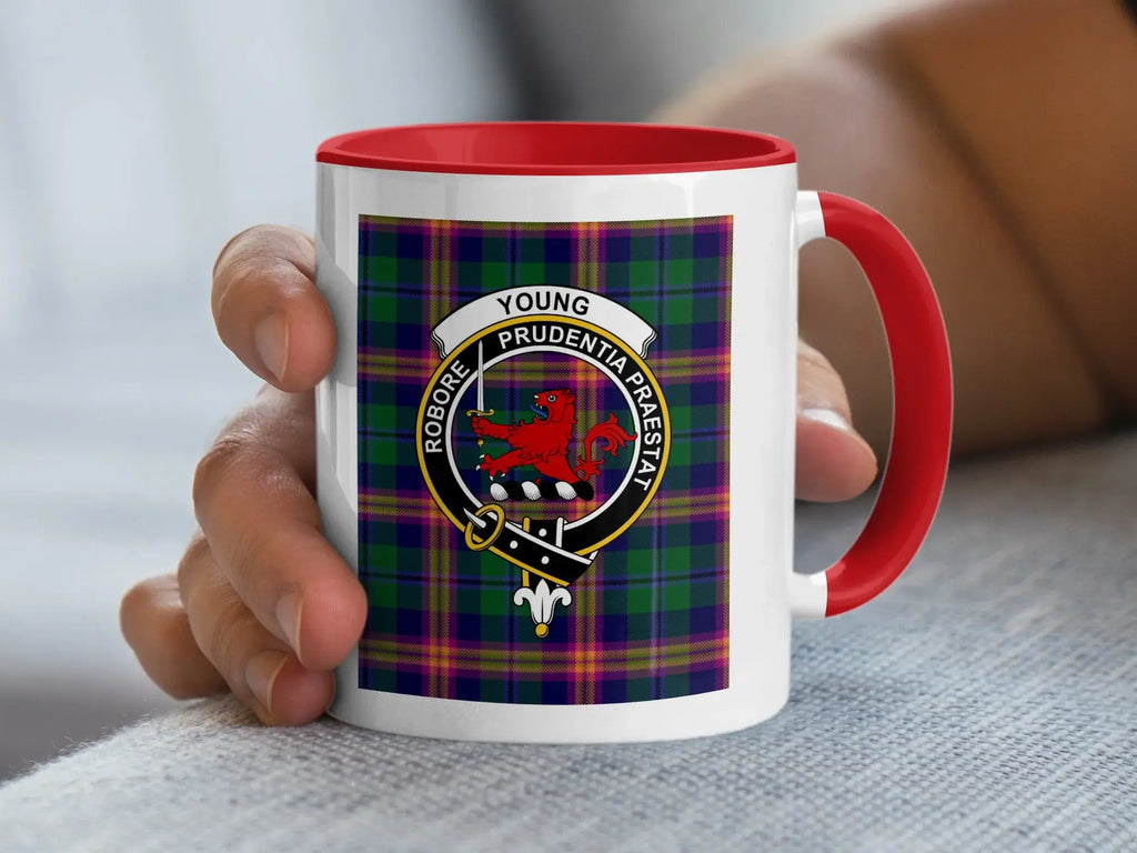Coloured accent handle and interior on the Young tartan mug