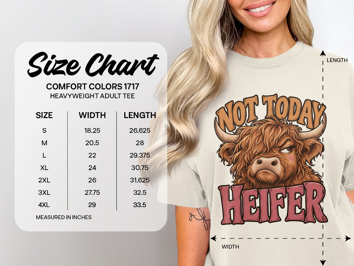 Comfort Colors 1717 size chart, S–4XL, for the Not Today Heifer Highland cow T-shirt