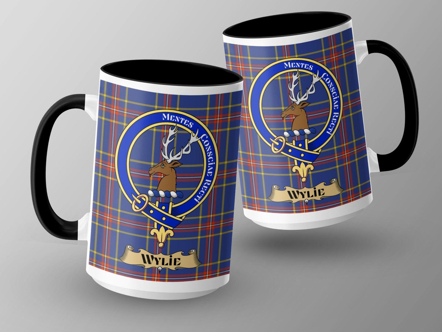 Wylie Scottish Clan Crest Tartan Mug - Living Stone Gifts