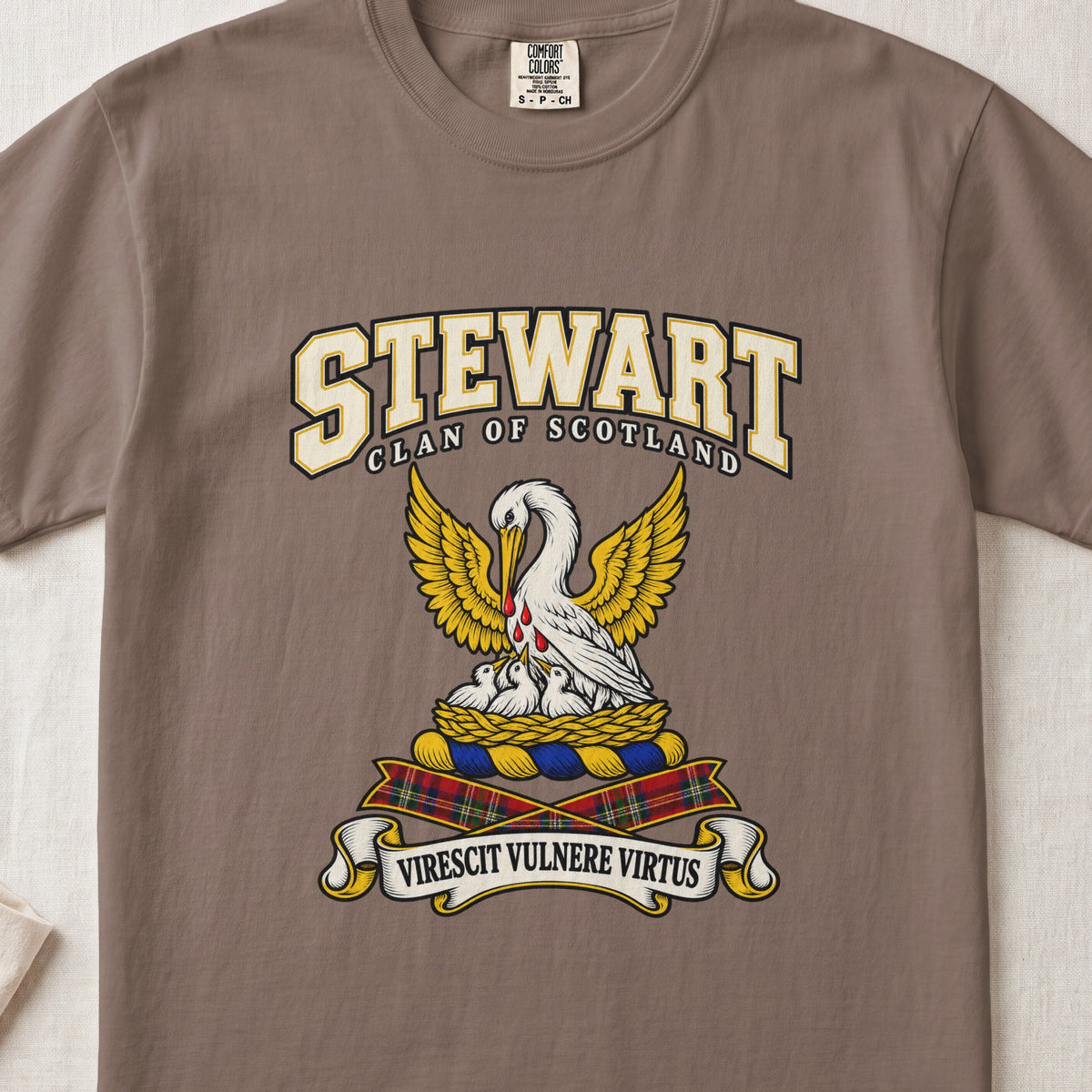 Stewart High Stewards Scottish clan graphic T-shirt in Espresso, front view