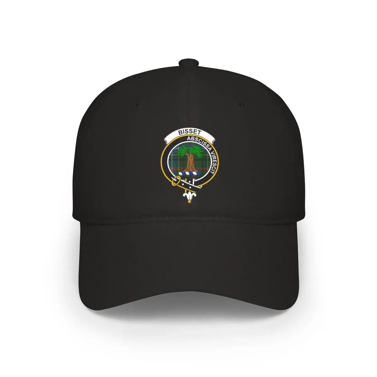 Bisset Abscissa Virescit Embroidered Black Hat