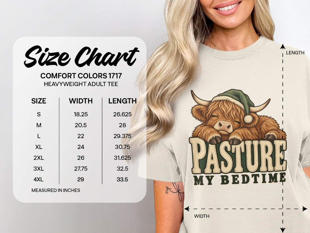 Comfort Colors 1717 size chart, S–4XL, for the Pasture My Bedtime Highland cow T-shirt